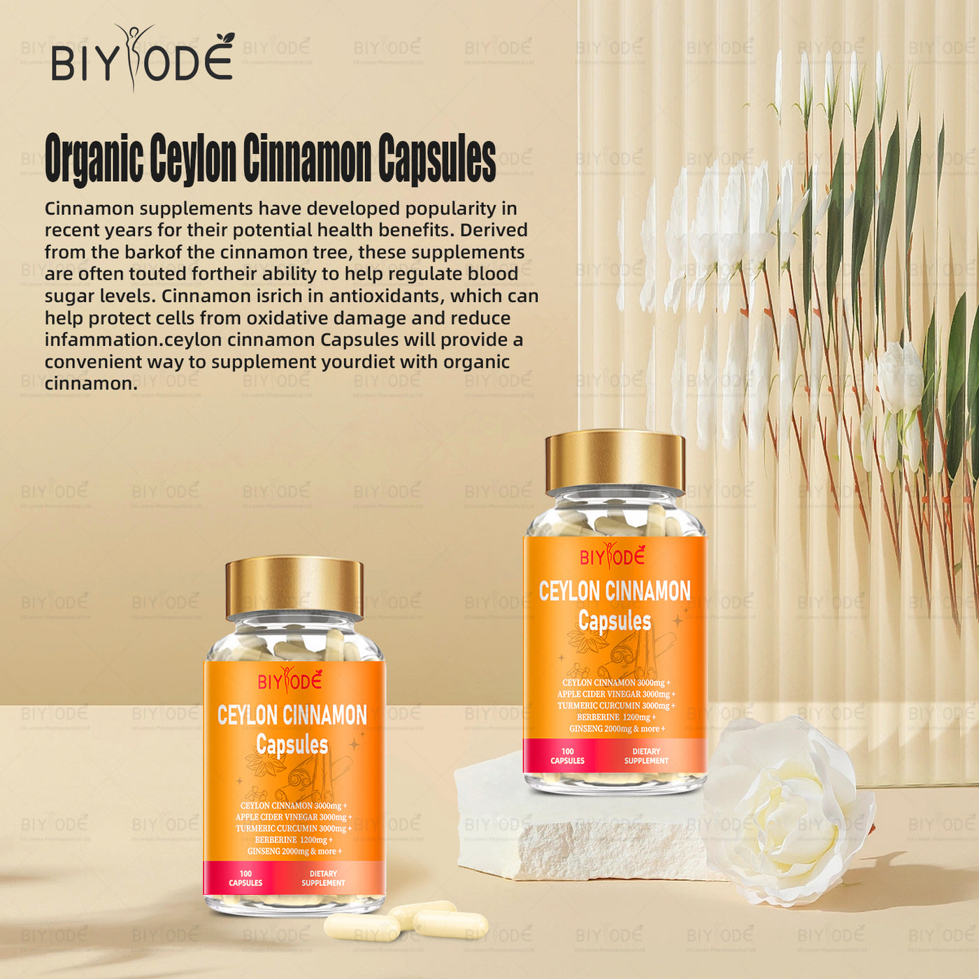 Jiabeikang Factory Ceylon Cinnamon Capsules OEM ODM Custom Herbal Extract Supplements Wholesale Ready Stock